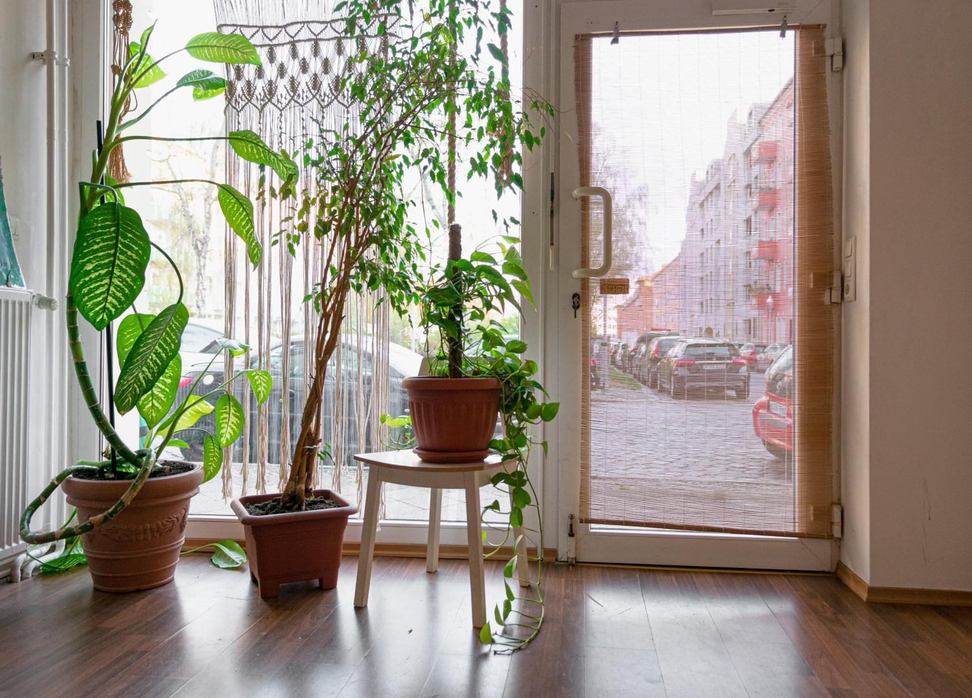 Boutique Altbau Apartment Berlin Zewnętrze zdjęcie